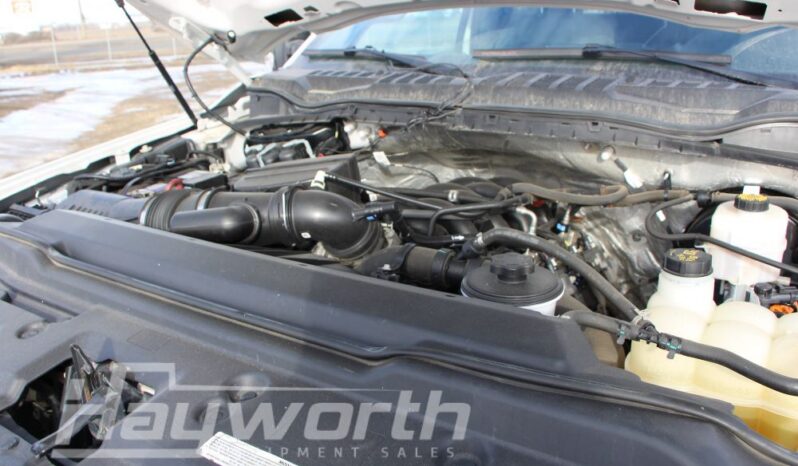 2020 Ford 250 Super Duty Crew Cab full