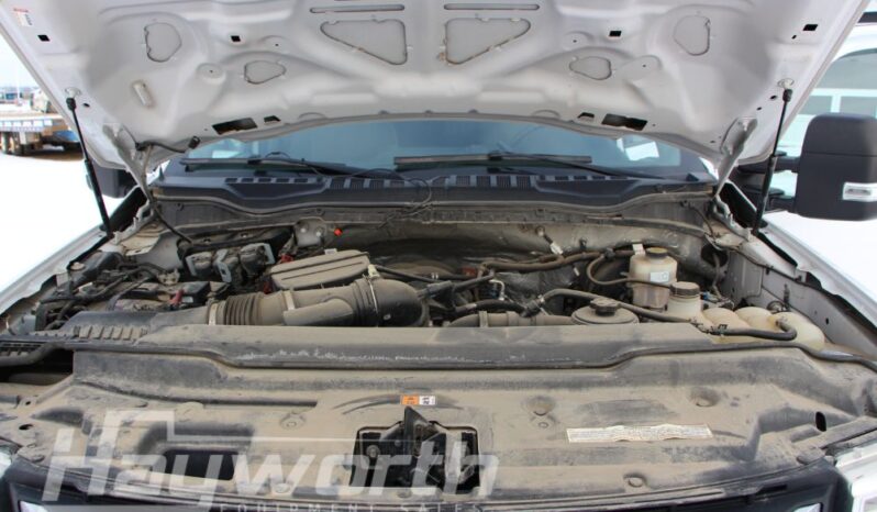 2020 Ford 250 Super Duty Crew Cab full