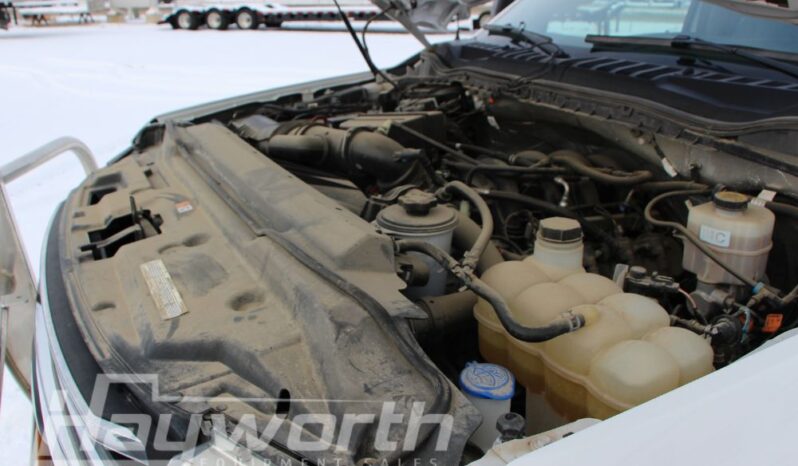 2020 Ford 250 Super Duty Crew Cab full