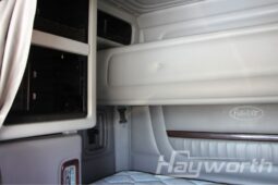 2020 Peterbilt 389 Tandem Truck full